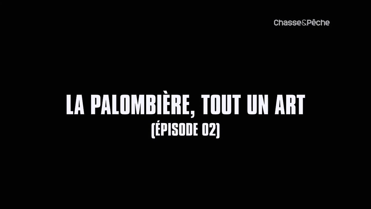 Chasse et Peche,La palombière,tout un art (ép 2)