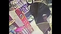 CCTV captures moment sneak thief stole charity box