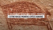 Le changement climatique aurait provoqué l’extinction des premières espèces humaines