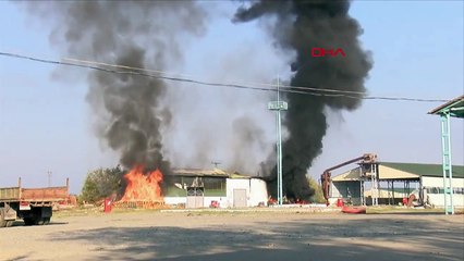 Ateşkesi yok sayan Ermenistan hain saldırılarına devam ediyor!