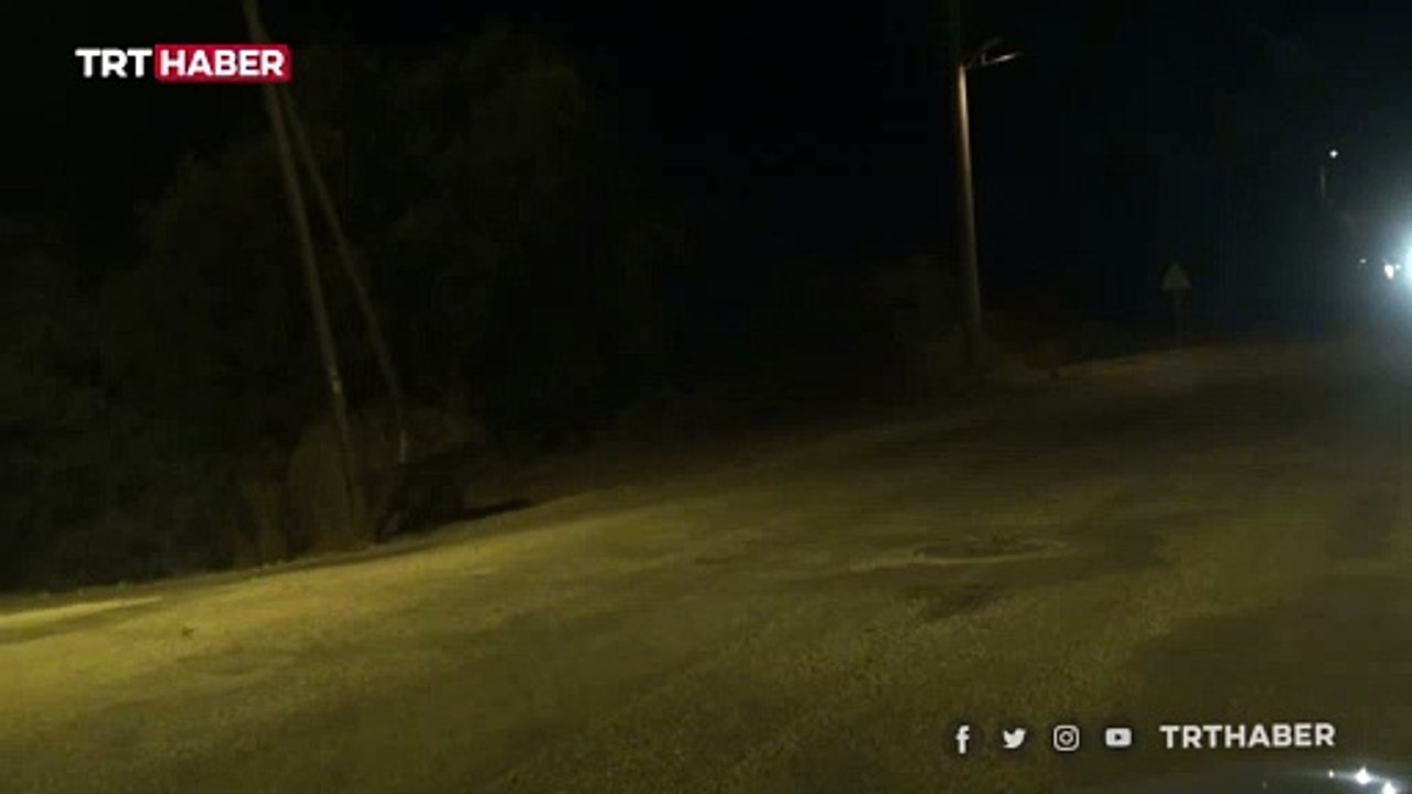 Demre sokaklarında ilginç kovalamaca