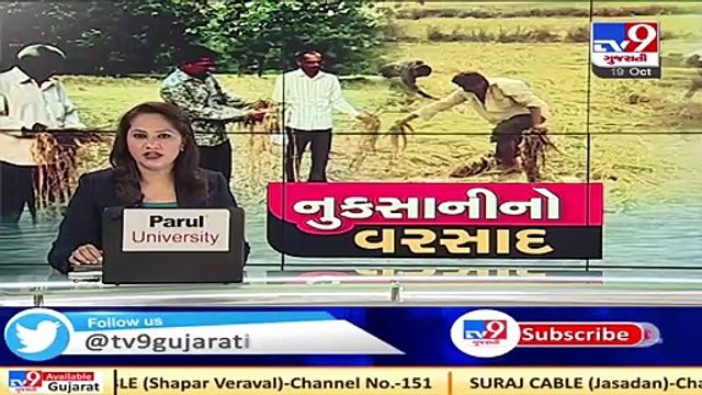 Parts of Gir-Somnath received rain showers, leaves streets waterlogged _ Tv9GujaratiNews
