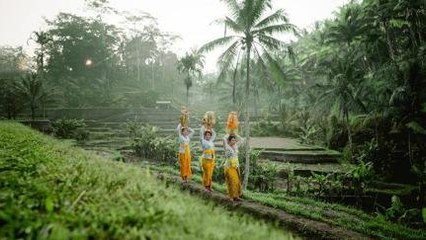 Banjar Nagi, Ubud Jadi Kawasan Paling Kekinian di Dunia
