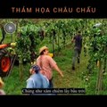 Tóm Tắt Phim Thảm Họa Châu Chấu - Locusts Day Of Destruction (2005)