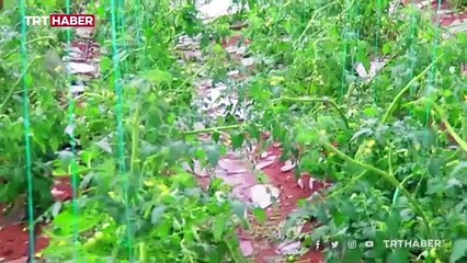 Kumluca'da dolu ve fırtına: 1 kişi yaşamını yitirdi