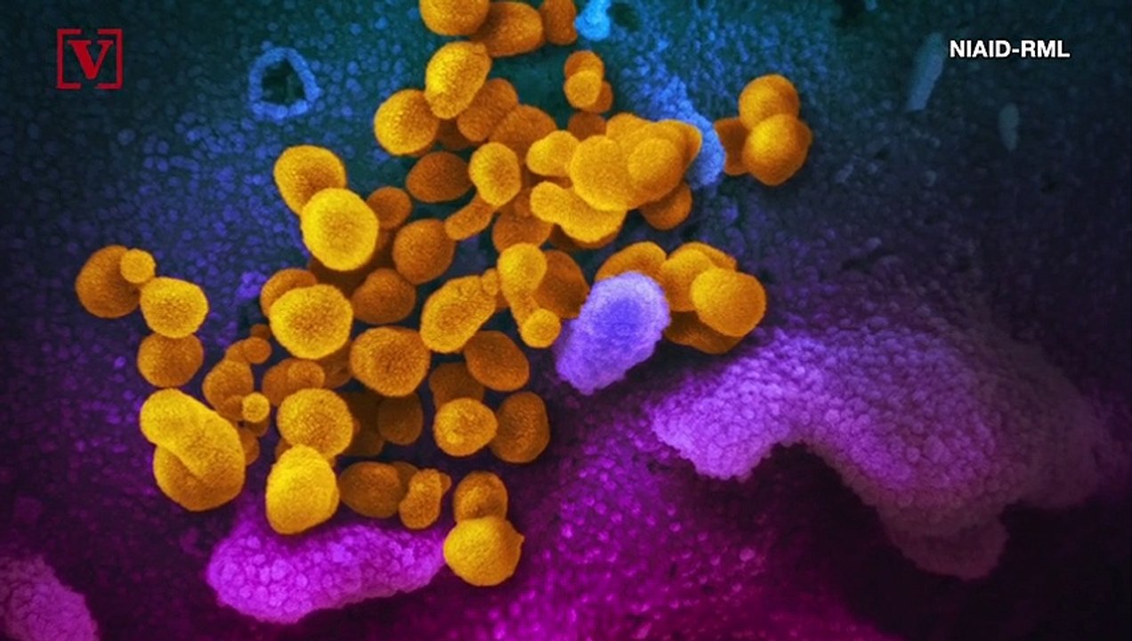 A Fridge Shortage Could Keep 3 Billion People From Receiving a Coronavirus Vaccine
