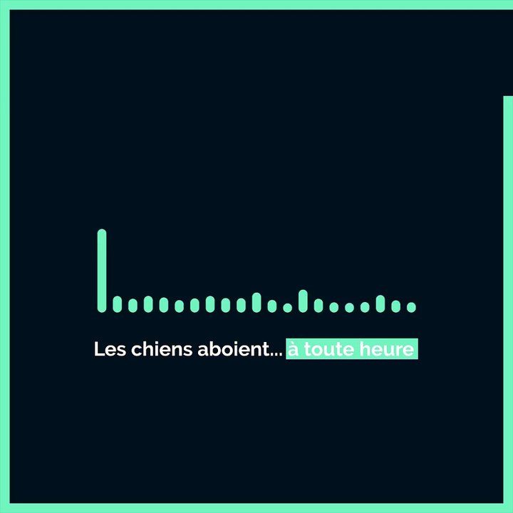 Dans les oreilles de Julie  3
