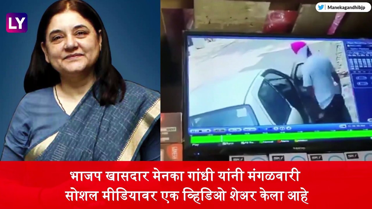 Maneka Gandhi यांनी शेअर केला कुत्र्याला गाडी खाली चिरडल्याचा Video; आरोपीवर गुन्हा दाखल