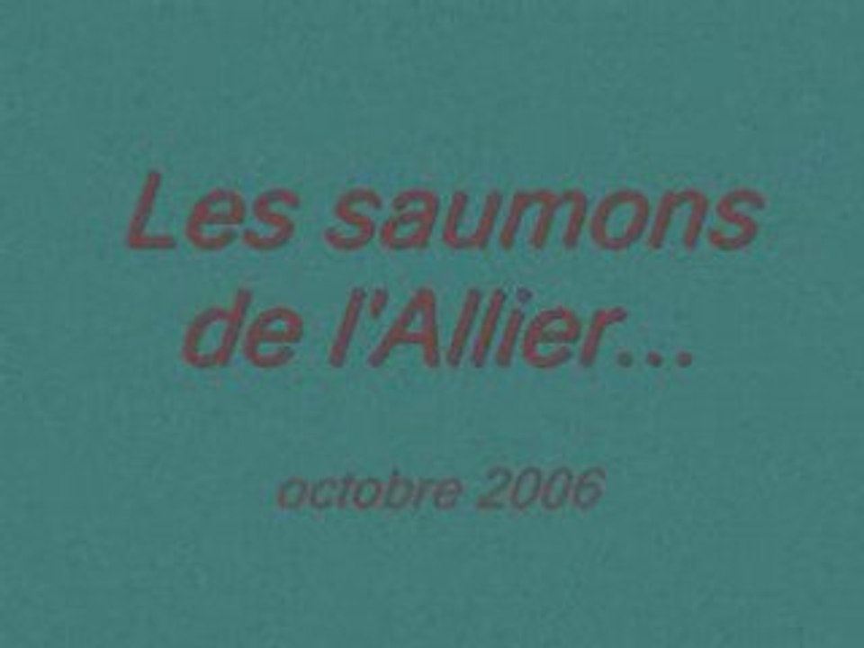 Saumons Laveyrune 2006