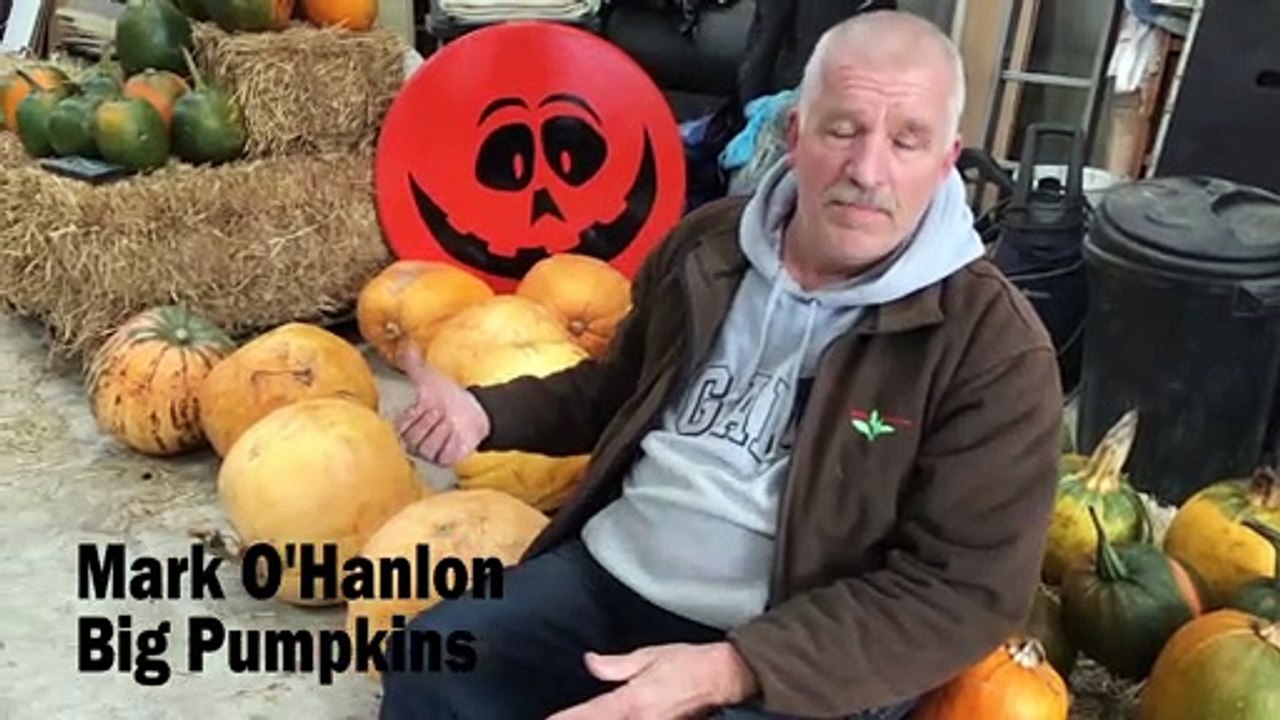 Mark O'Hanlon at Big Pumpkins