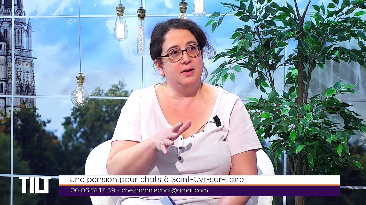 TILT - 19/10/2020 - Partie 3 - Une pension pour chats à Saint-Cyr-sur-Loire