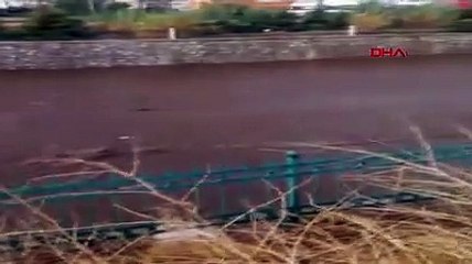 Fethiye'de sel suları, denizin rengini değiştirdi