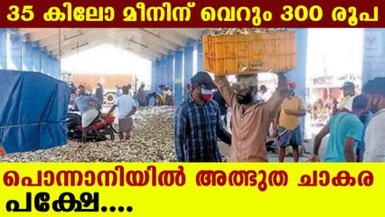 Fish sold at very cheap rate in ponnani | Oneindia Malayalam