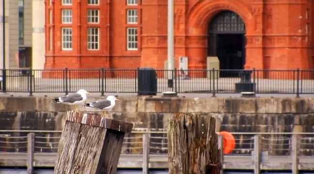 Covid-19 : le Pays de Galles va reconfiner, la Belgique ferme cafés et restaurants