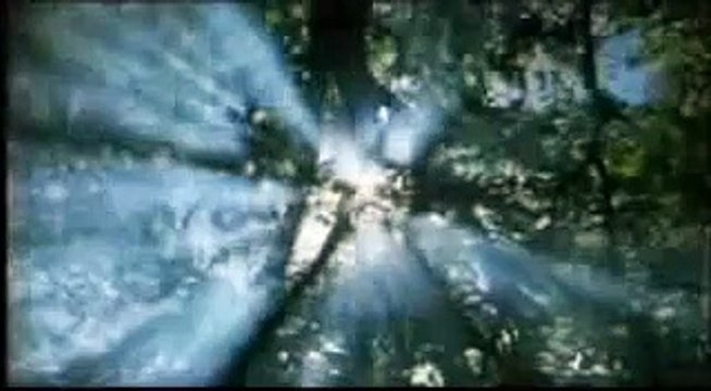 Ein Vater Kämpft Um Seine Tochter Film Trailer