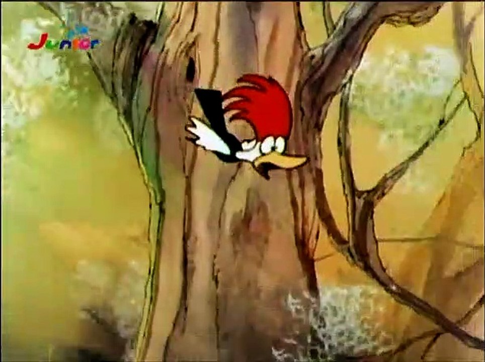 Pinoccio TV Serie auf DVD Trailer