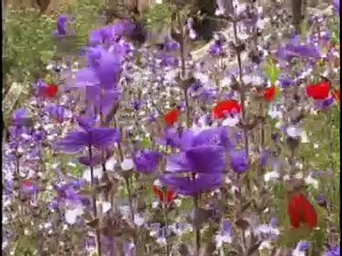 Und Macht Euch Die Erde Untertan Film Trailer (2008)