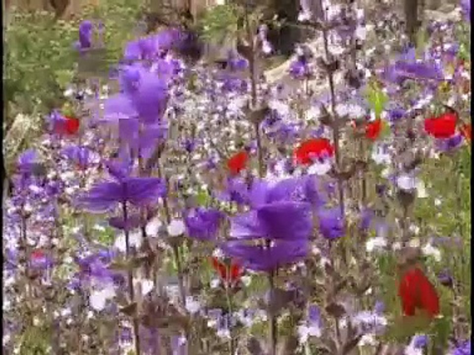 Und Macht Euch Die Erde Untertan Film Trailer (2008)