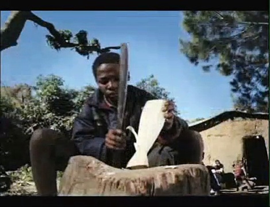 Wild Ocean 3D Film Trailer (2009)