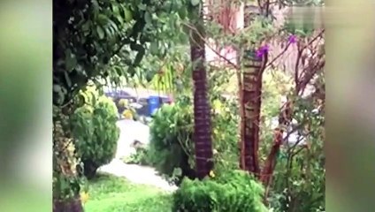 AL MAL TIEMPO BUENA CARA 001