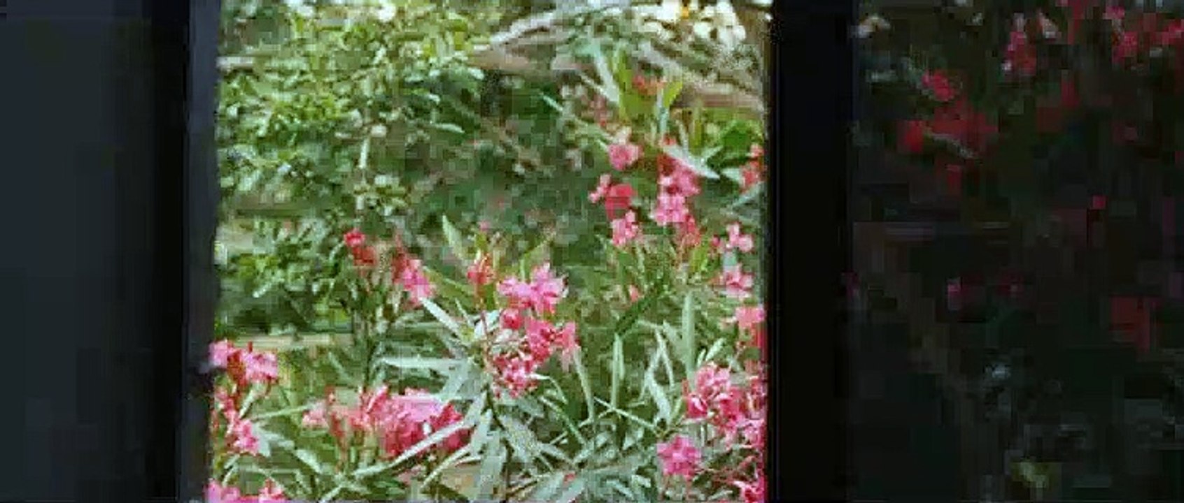 The Road Film Trailer (2009)