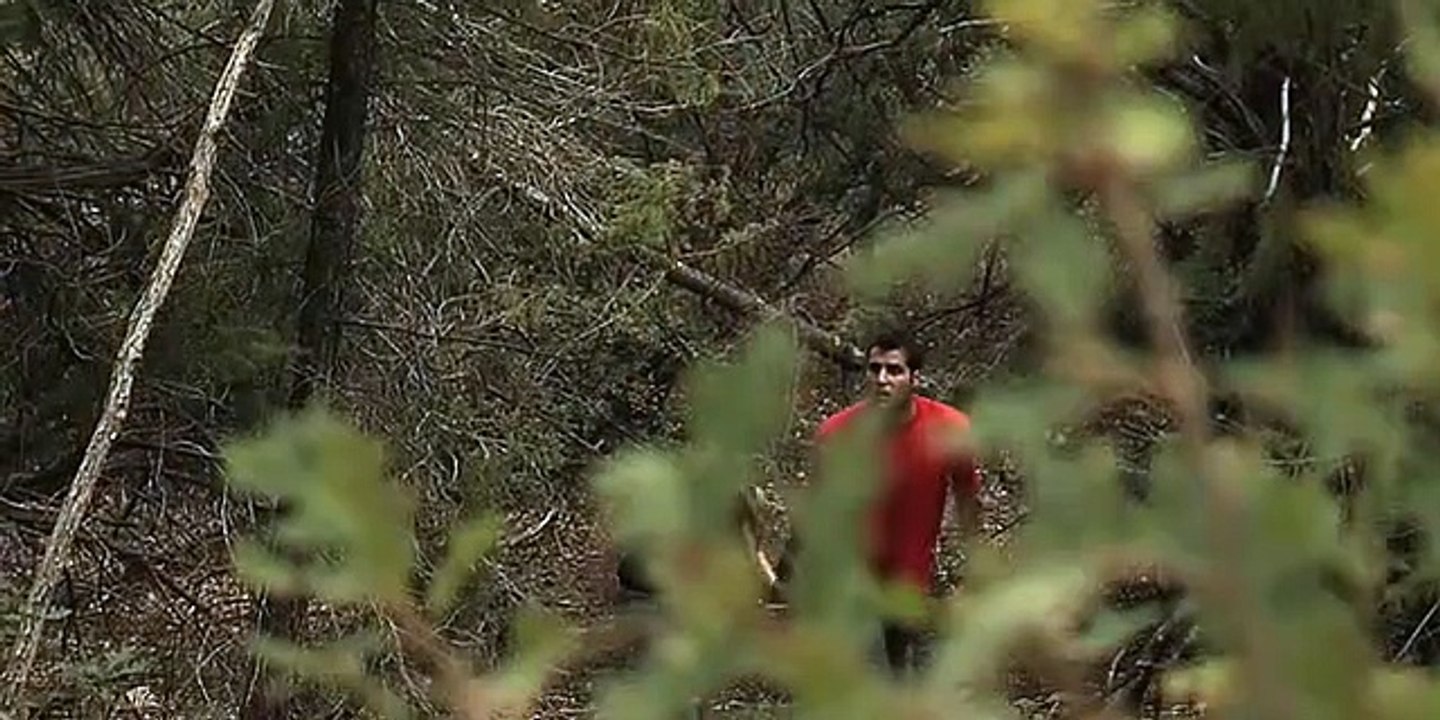 Flicker film trailer (2009)