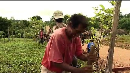 Auf Halbem Weg Zum Himmel Film Trailer (2009)