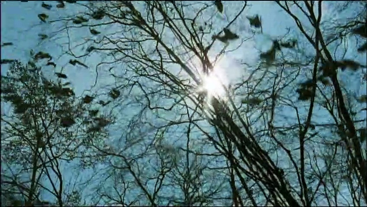 Sheitan Film Trailer (2006)