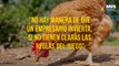 Industria avícola mexicana reporta caída en sus ventas