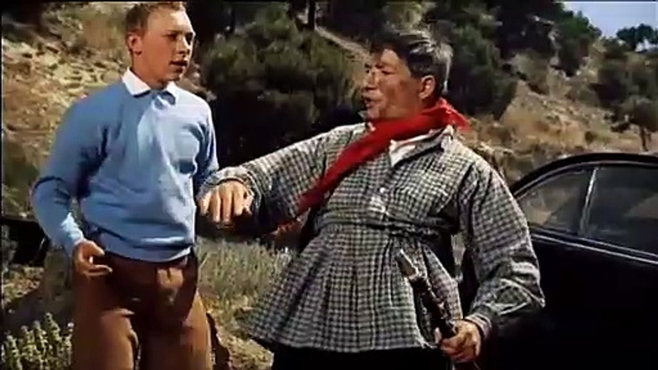 Tim Und Struppi Original DVD Box Trailer