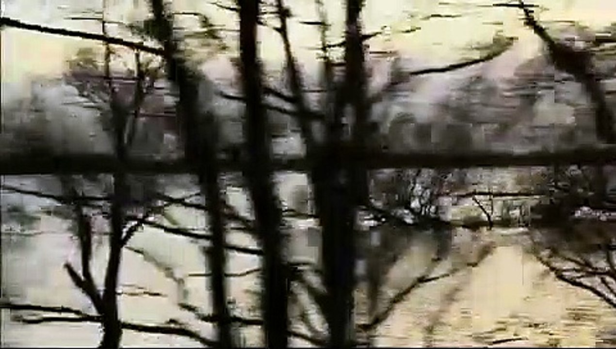 Berlin - Stettin Film Trailer (2010)