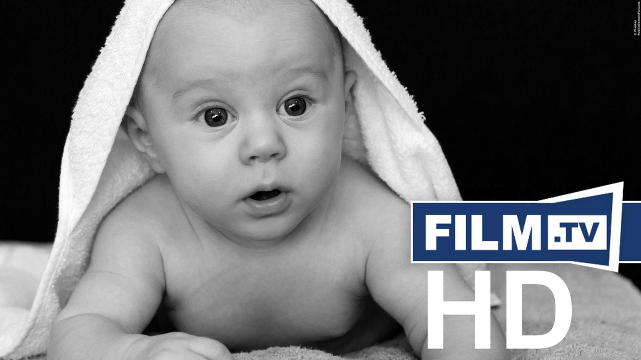 Babys Trailer (2010)