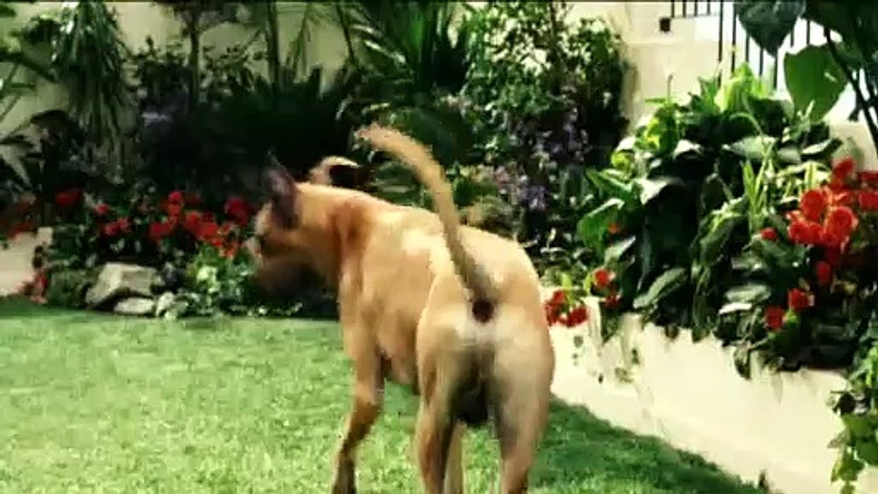 Marmaduke film trailer (2010)