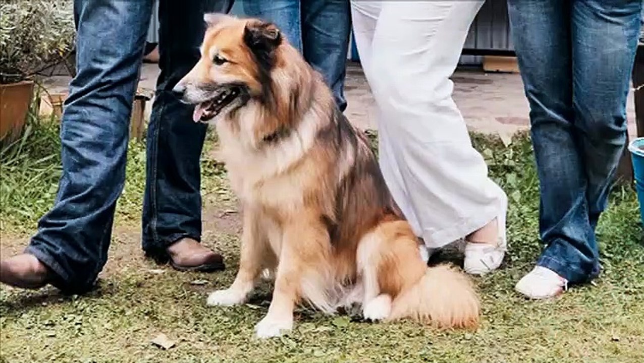 Draussen Am See Film Trailer (2010)