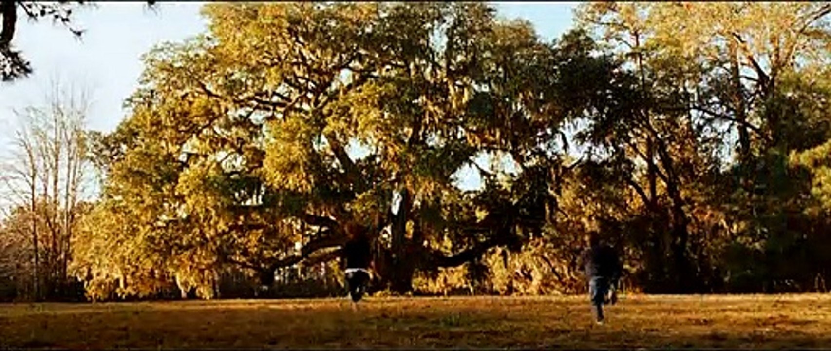 The New Daughter Film Trailer (2010)