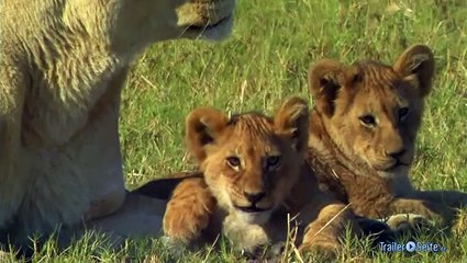 The Last Lions Film Kino Trailer (2011)