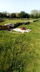 Robaron las placas identificatorias del Cementerio Parque