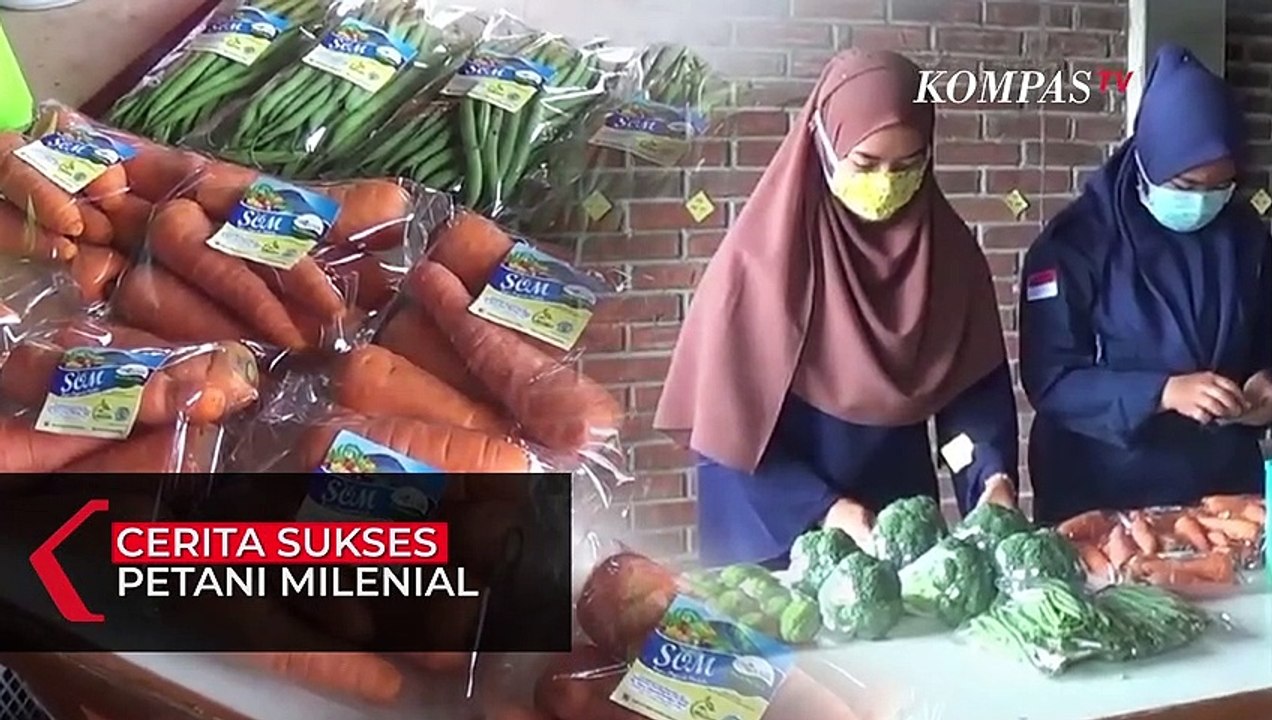 Petani Milenial di Kopeng Justru Sukses Di Masa Pandemi