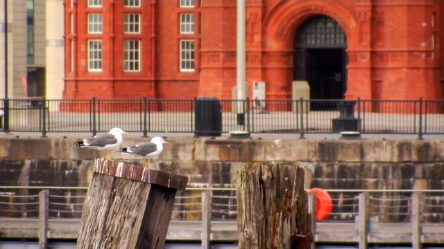 COVID: свыше 40 миллионов заражённых