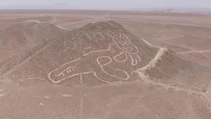 Hallan el dibujo de un gato de 37 metros y 1.500 años de antigüedad