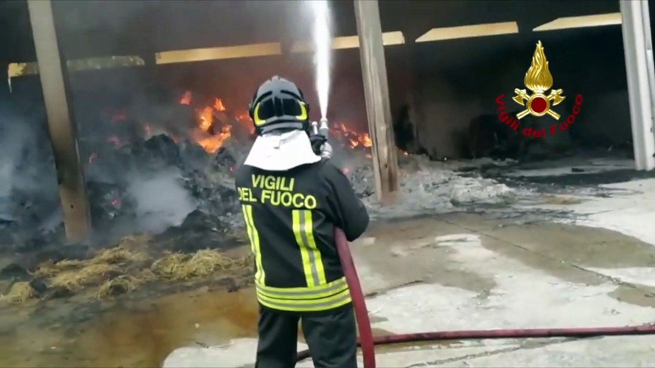 Sissa Trecasali (PR) - Incendio in un fienile,...