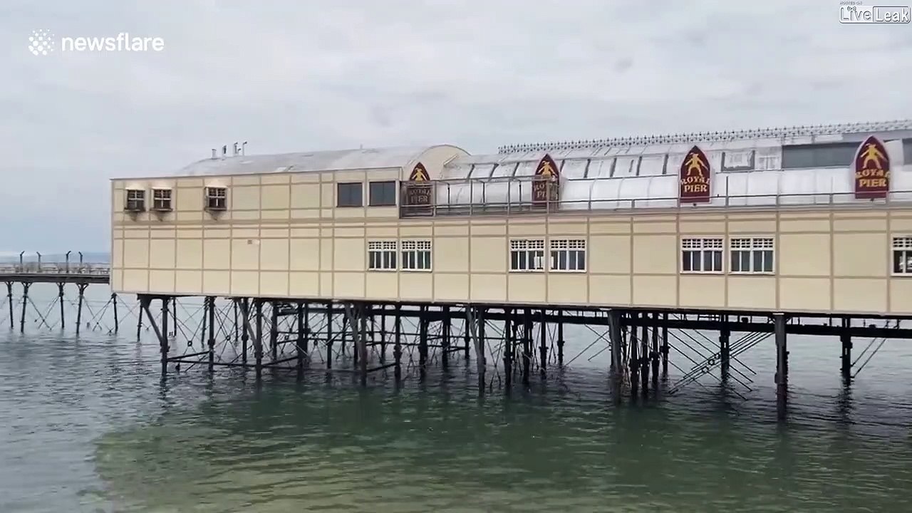 Ces nuées d'oiseaux sont hypnotiques