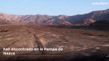 Un gatito de 37 metros, nueva figura descubierta entre geoglifos de Nazca