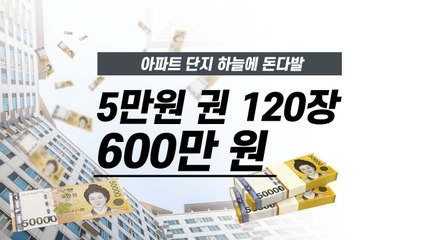 [앵커리포트] 하늘에 뿌려진 5만원 권 120장...1장 빼고 다 찾았다 / YTN