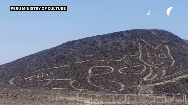 2,000-year-old cat silhouette found in Peruvian desert