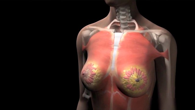 tn7-1300-mujeres-son-diagnosticadas-con-cáncer-de-mama-cada-año-191020