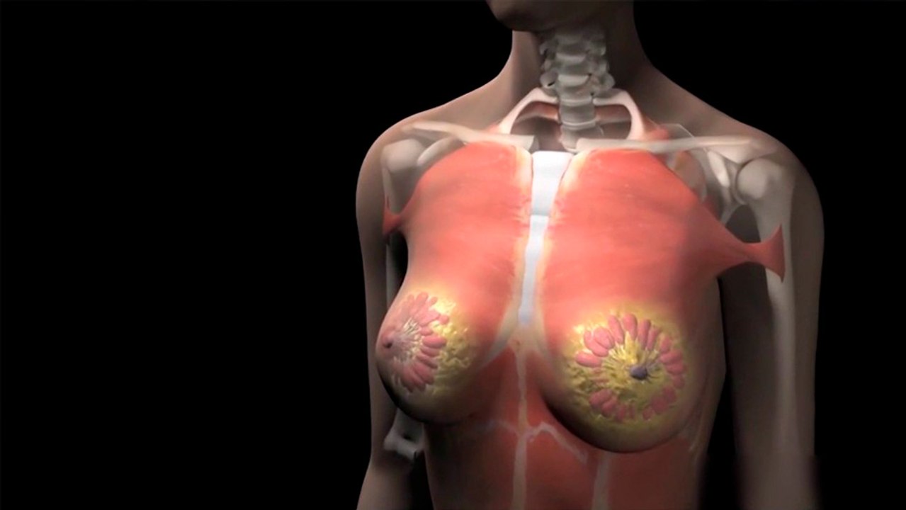 tn7-1300-mujeres-son-diagnosticadas-con-cáncer-de-mama-cada-año-191020