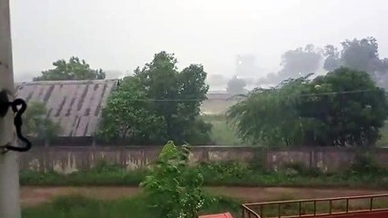 சென்னையின் பல்வேறு இடங்களில் காலையிலேயே இடியுடன் கூடிய மழை - வீடியோ