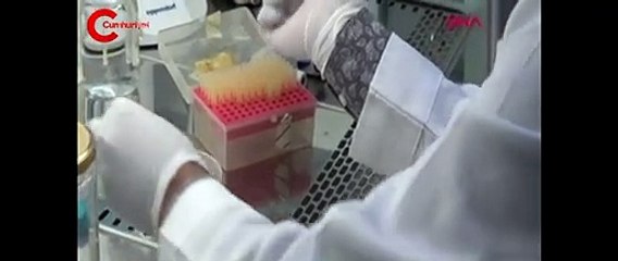 Vücut savunma sistemini enfeksiyonlara karşı koruyan vitamin geliştirildi