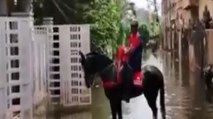 Hyderabad floods: Horse riders jump into rescue efforts